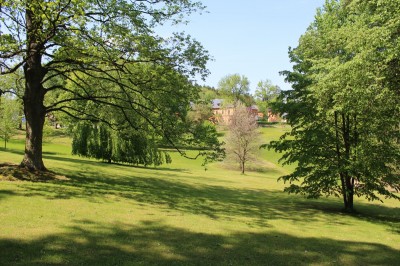 Žampach arboretum - dolní park - jaro (62)