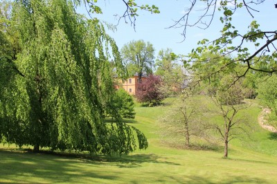 Žampach arboretum - dolní park - jaro (63)