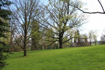 Žampach arboretum - dolní park - jaro (68)