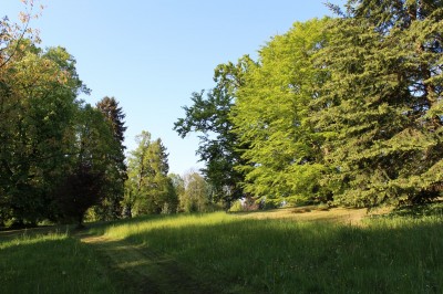 Žampach arboretum - dolní park - jaro (6)