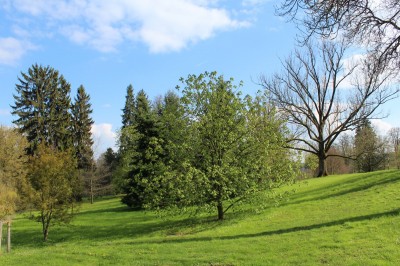 Žampach arboretum - dolní park - jaro (76)