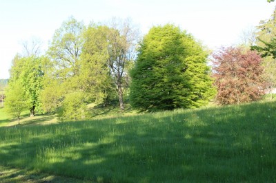 Žampach arboretum - dolní park - jaro (7)