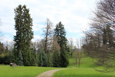 Žampach arboretum - dolní park - jaro (82)