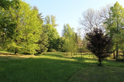 Žampach arboretum - dolní park - jaro (8)
