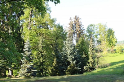 Žampach arboretum - dolní park - jaro (9)