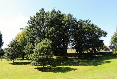 Žampach arboretum - dolní park - léto 2021 (2)