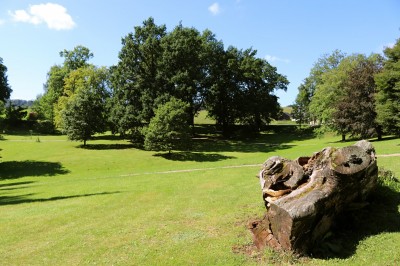 Žampach arboretum - dolní park - léto 2021 (7)
