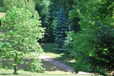 Žampach arboretum - dolní park - léto (21)