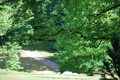 Žampach arboretum - dolní park - léto (22)
