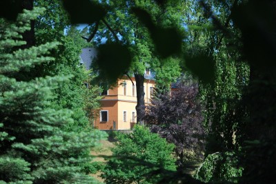 Žampach arboretum - dolní park - léto (23)