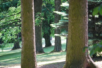 Žampach arboretum - dolní park - léto (26)