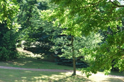 Žampach arboretum - dolní park - léto (31)
