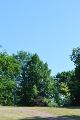 Žampach arboretum - dolní park - léto (38)