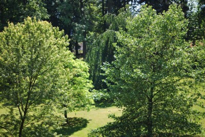 Žampach arboretum - dolní park - léto (43)