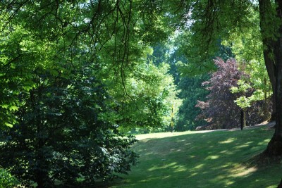 Žampach arboretum - dolní park - léto (51)