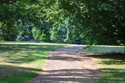 Žampach arboretum - dolní park - léto (6)