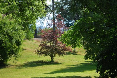 Žampach arboretum - dolní park - léto (9)