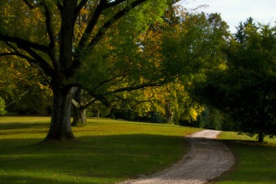 Žampach arboretum - dolní park - podzim 08