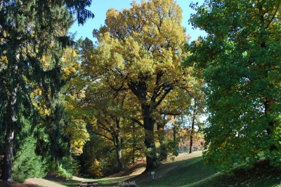 Žampach arboretum - dolní park - podzim (13)