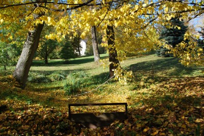 Žampach arboretum - dolní park - podzim (15)