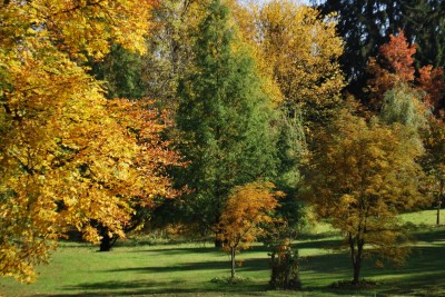 Žampach arboretum - dolní park - podzim (22)