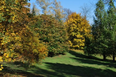 Žampach arboretum - dolní park - podzim (5)