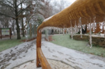 2018 Námraza ohrozila také Arboretum Žampach (3.12.)