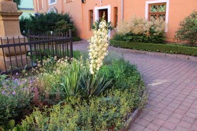 Žampach Arboretum - léto 2018 (68)