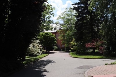 Žampach Arboretum - nádvoří -2024