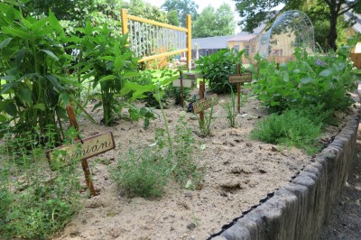 Žampach arboretum - smyslový park 2018 (41)