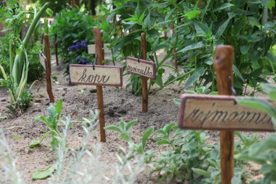 Žampach arboretum - smyslový park 2018 (42)