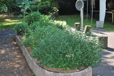 Žampach arboretum - smyslový park 2018 (4)