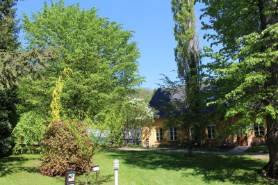 Žampach arboretum - vnitřní areál - jaro (12)