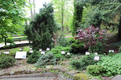 Žampach arboretum - vnitřní areál - jaro (21)