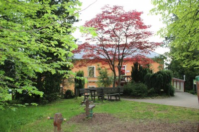 Žampach arboretum - vnitřní areál - jaro (26)