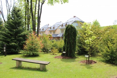 Žampach arboretum - vnitřní areál - jaro (35)