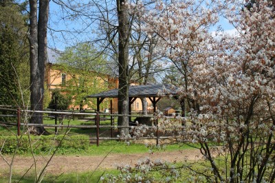 Žampach arboretum - vnitřní areál - jaro (40)