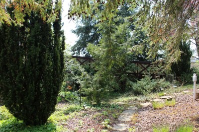 Žampach arboretum - vnitřní areál - jaro (47)