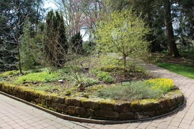 Žampach arboretum - vnitřní areál - jaro (48)