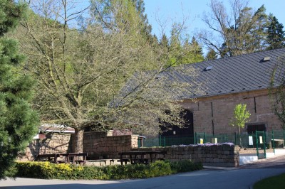 Žampach arboretum - vnitřní areál - jaro (5)