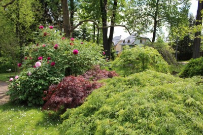 Žampach arboretum - vnitřní areál - jaro (6)