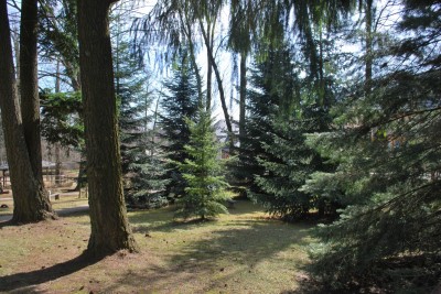 Žampach arboretum - vnitřní areál - konec zimy (10)