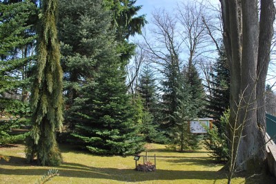 Žampach arboretum - vnitřní areál - konec zimy (11)