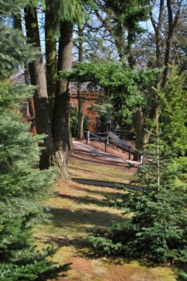 Žampach arboretum - vnitřní areál - konec zimy (14)