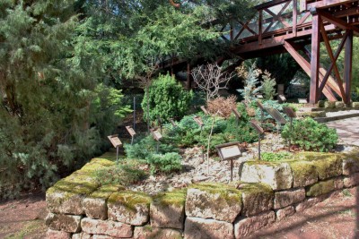 Žampach arboretum - vnitřní areál - konec zimy (18)