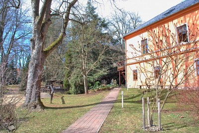 Žampach arboretum - vnitřní areál - konec zimy (21)