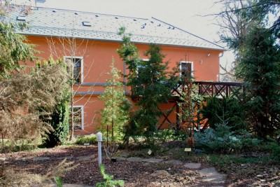 Žampach arboretum - vnitřní areál - konec zimy (2)