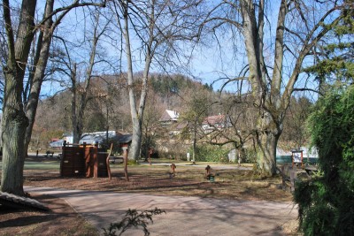 Žampach arboretum - vnitřní areál - konec zimy (3)