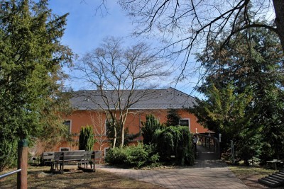 Žampach arboretum - vnitřní areál - konec zimy (6)