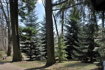 Žampach arboretum - vnitřní areál - konec zimy (9)
